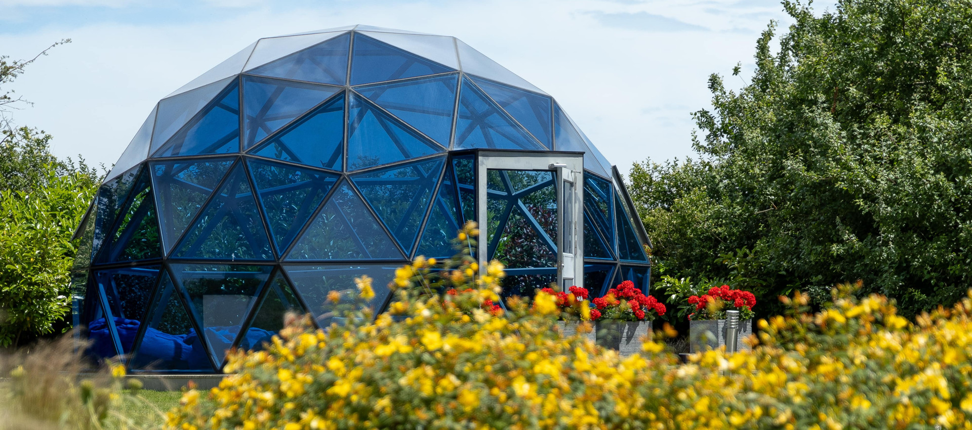 Summer Dome