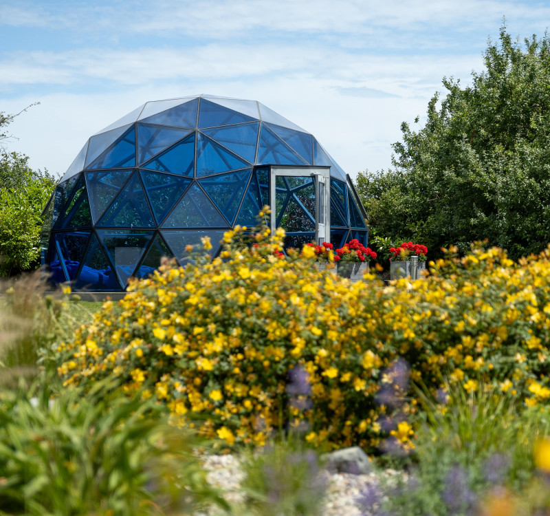 Summer Dome
