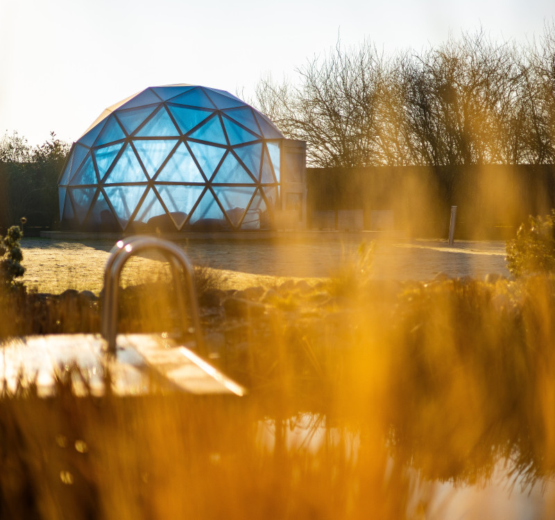 A blue geodesic dome sits in a sunlit garden, seen through tall golden grass with a blurred pool ladder in the foreground on a clear day.