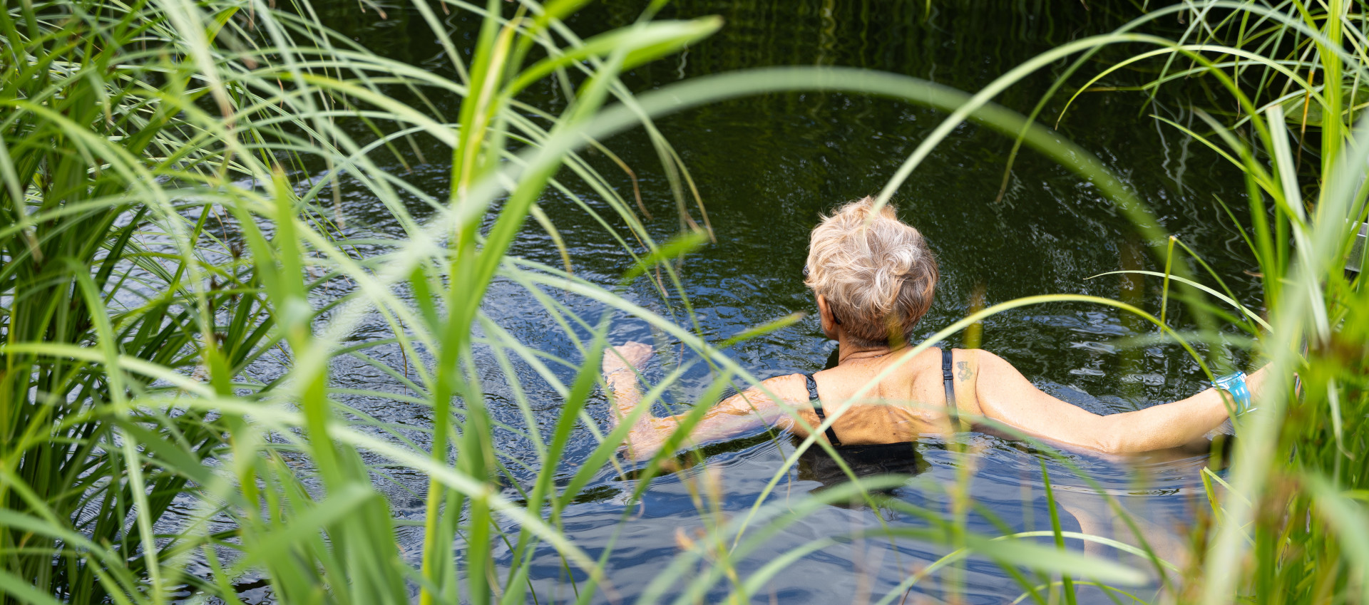 Guest swimming in a natural pond surrounded by tall grasses at Glass House Retreat in Essex, illustrating outdoor cold water therapy.