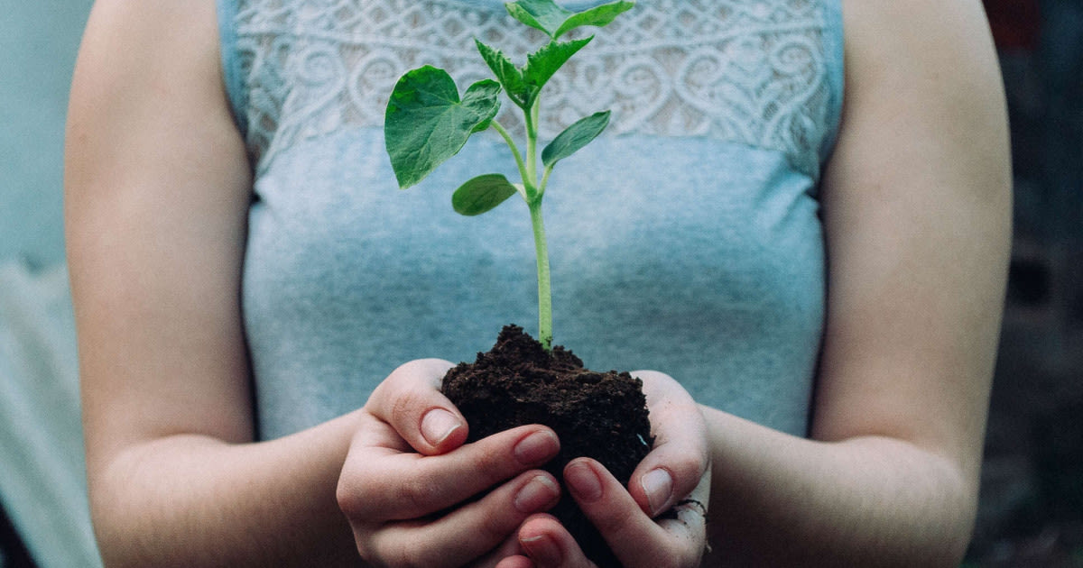 Woman holding a growing seed