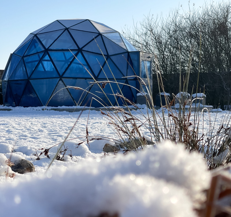 Winter wellness dome